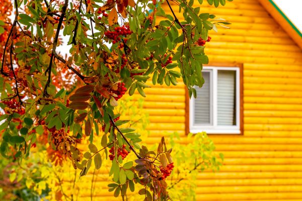Cost of Garden Window Replacement in Racine
